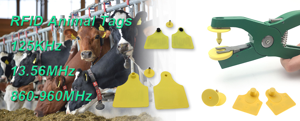 rfid ear tags 