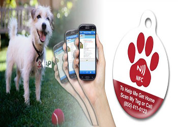 NFC digitizes information speed up to rescue many missing pets